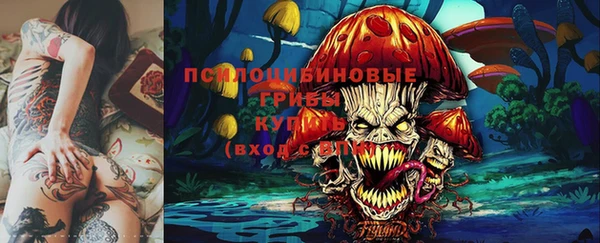 трава Армянск
