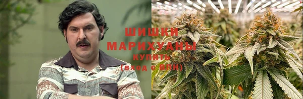 прущие крисы Балахна