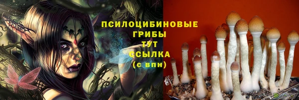 прущие крисы Балахна