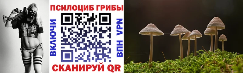 Псилоцибиновые грибы ЛСД  где можно купить наркотик  Пересвет 